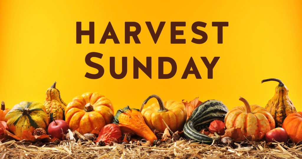 Image result for harvest sunday pics